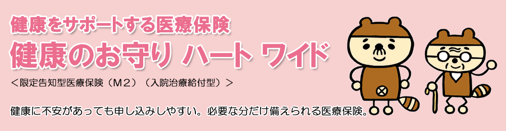 限定告知医療保険　新・健康のお守り ハート